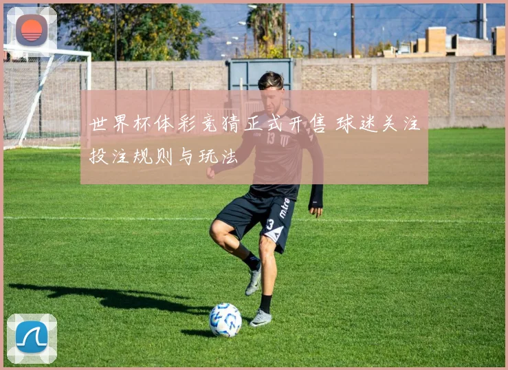 世界杯体彩竞猜正式开售 球迷关注投注规则与玩法