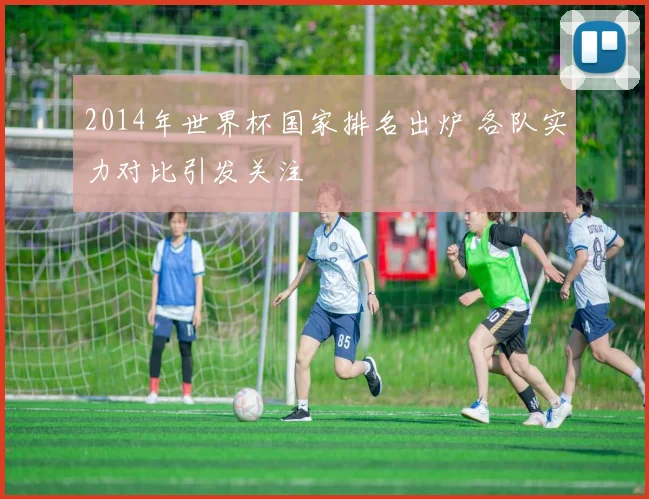 2014年世界杯国家排名出炉 各队实力对比引发关注