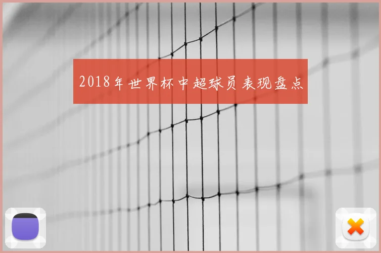 2018年世界杯中超球员表现盘点