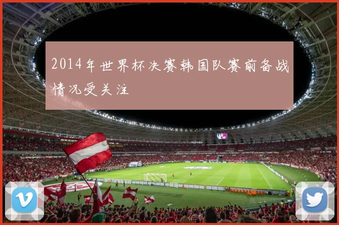 2014年世界杯决赛韩国队赛前备战情况受关注